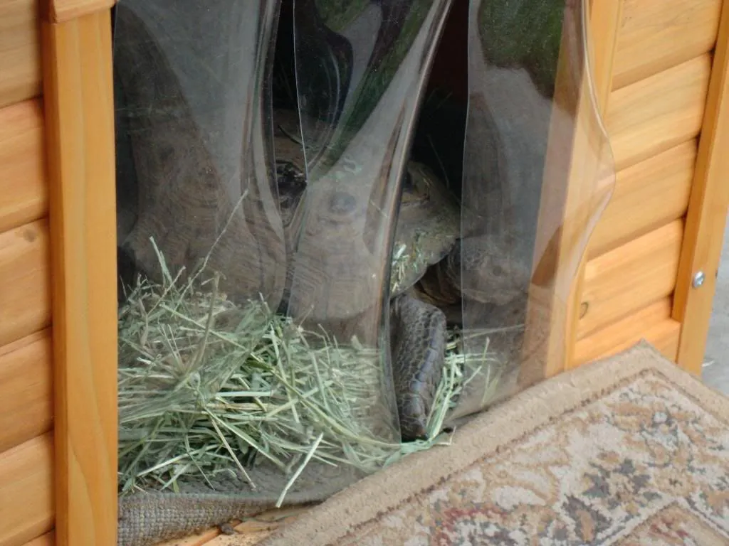 22624 naturalistic habitat