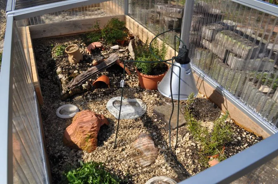 22624 tortoise enclosure design