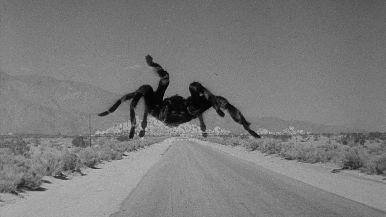22649 streaming tarantula movie