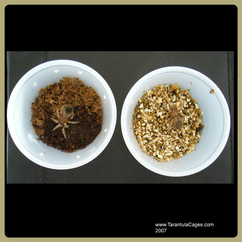 22652 insecticidal soap