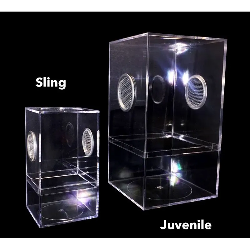 22653 tarantula sling hiding spot