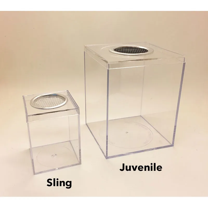 22653 tarantula sling substrate