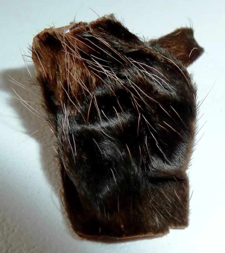 22658 tarantula water bowl