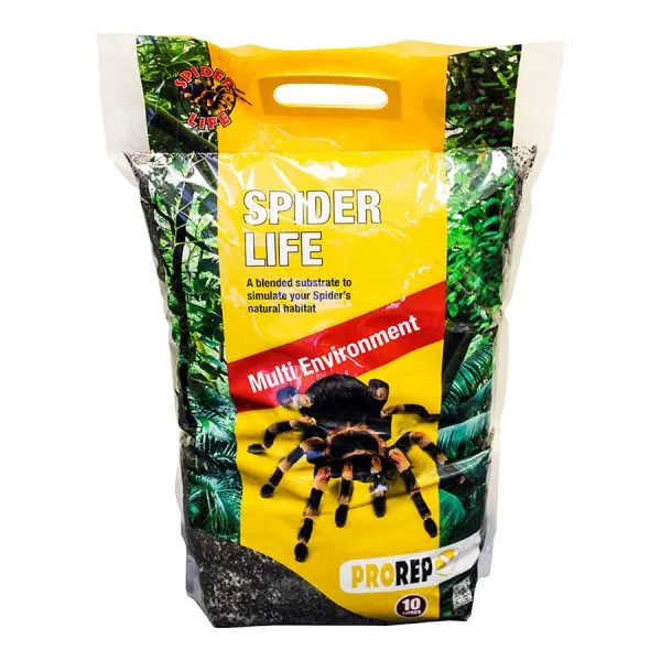 22661 gooty sapphire tarantula uk health