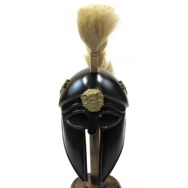 22671 tarantula helmet cleaning