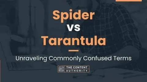 22672 tarantula lifespan