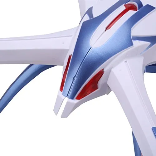 22675 tarantula diet