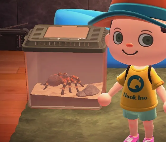22678 animal crossing tarantula net