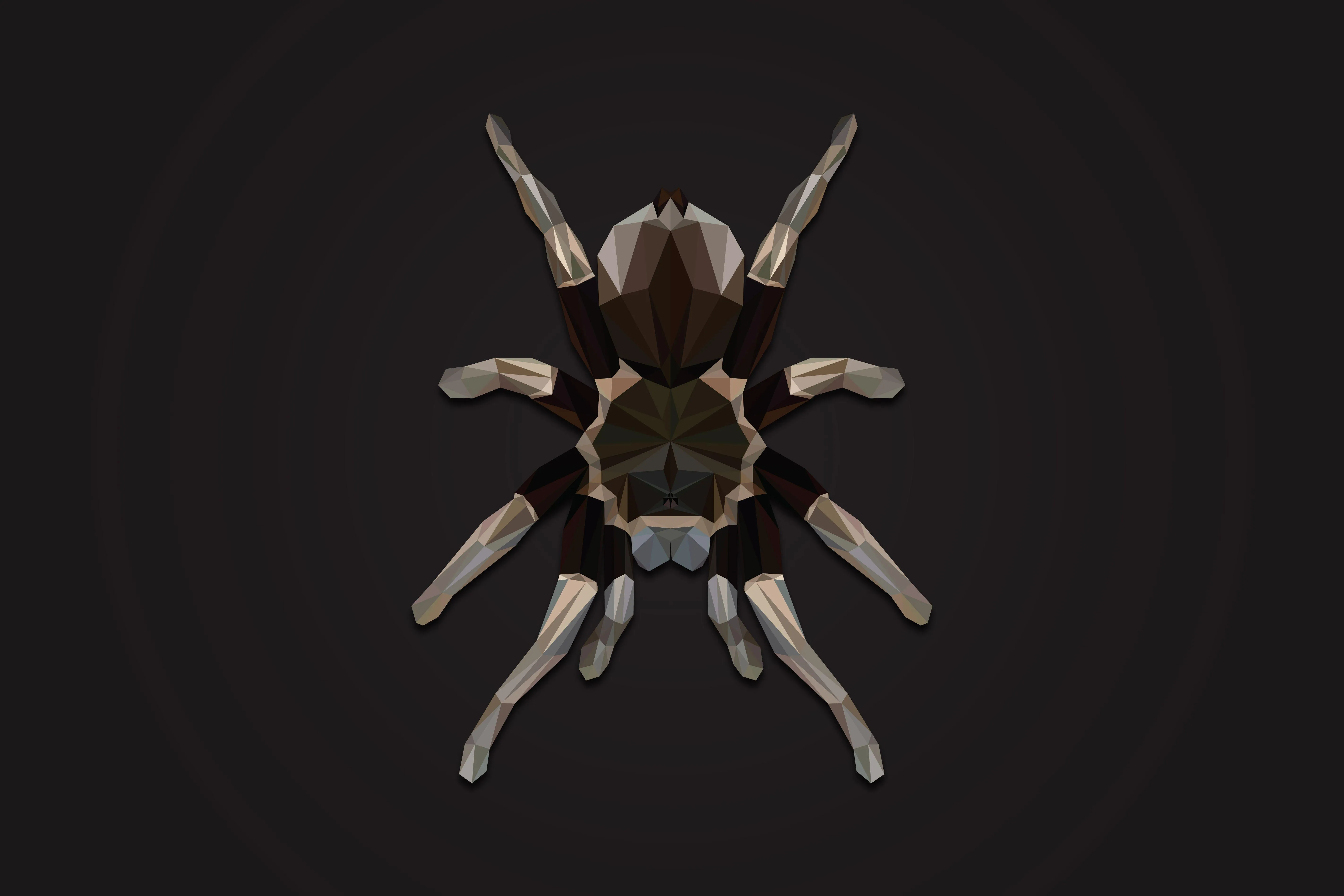 22695 tarantula 4k photography editing