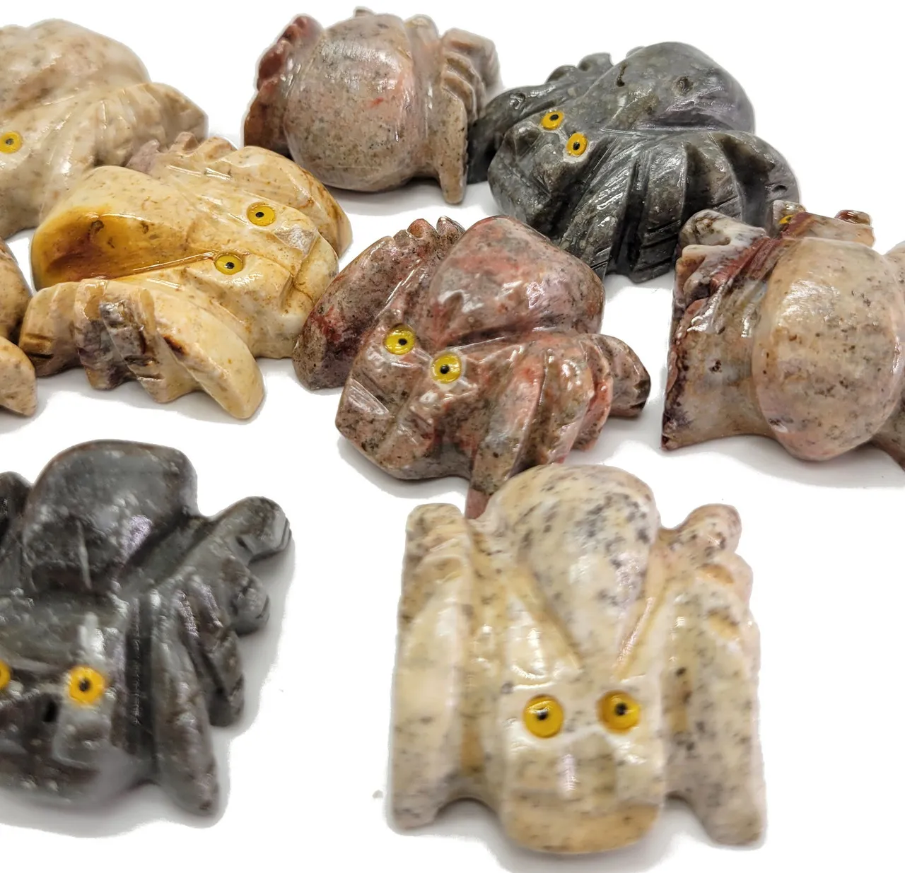 22696 tarantula close up