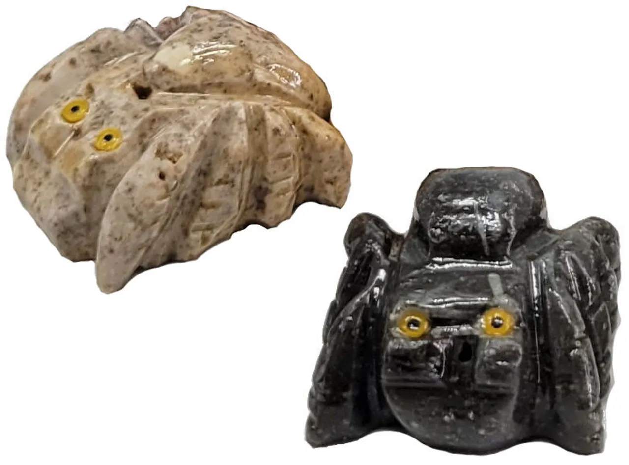 22696 tarantula in nature