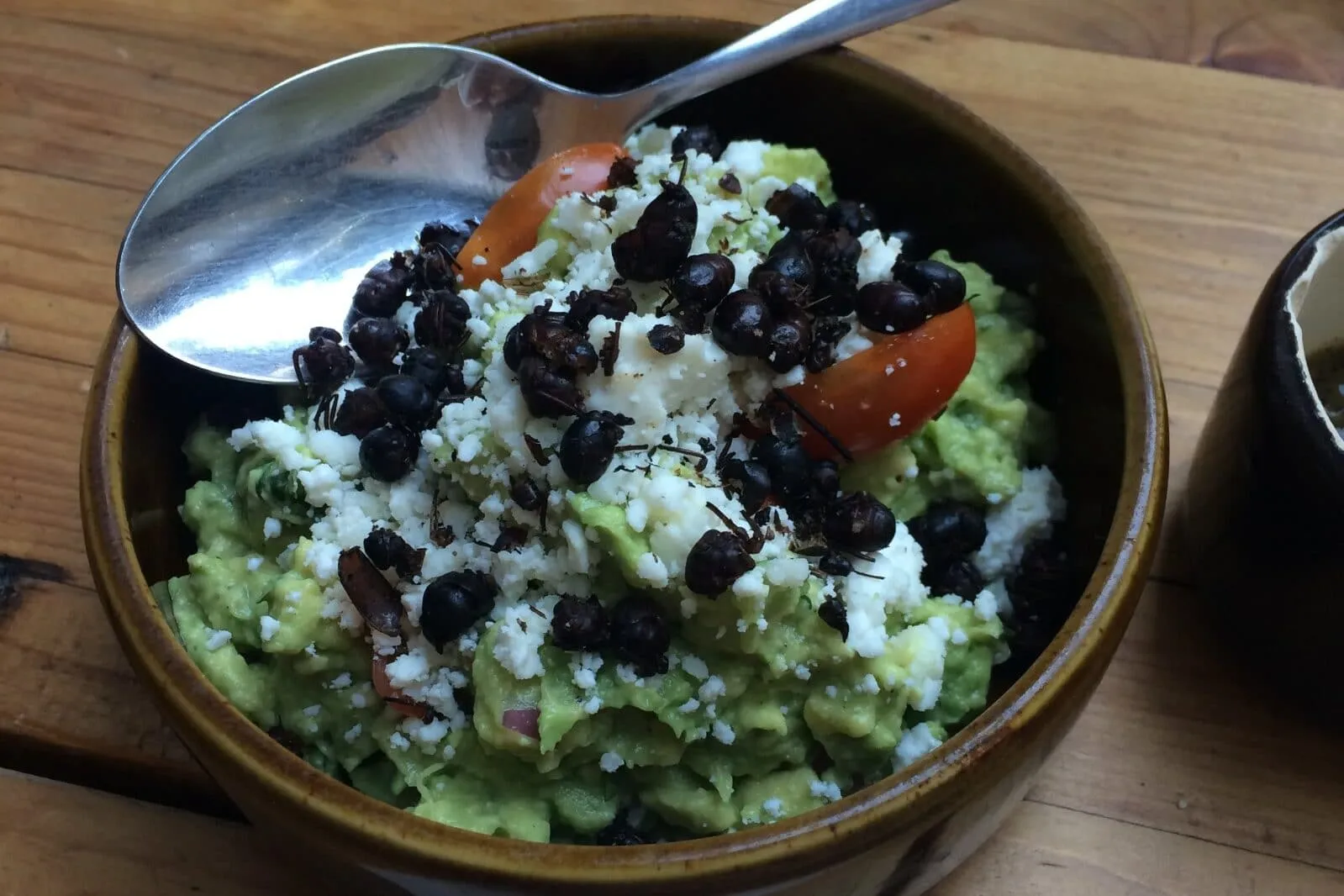 22705 tarantula book lungs