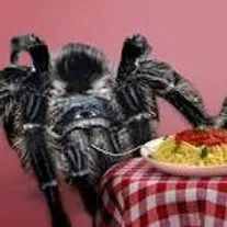 22715 tarantula conservation