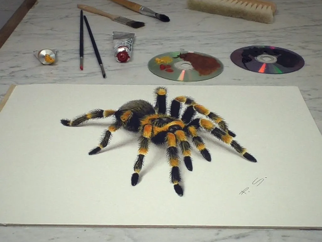 /img/22725-finished-3d-tarantula.webp