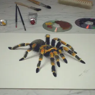 /img/22725-finished-3d-tarantula.webp