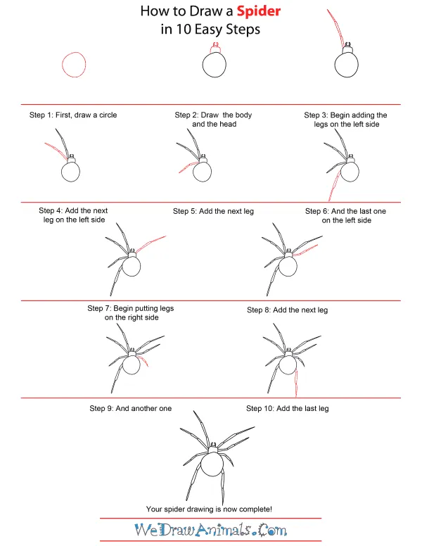 22725 tarantula leg positioning