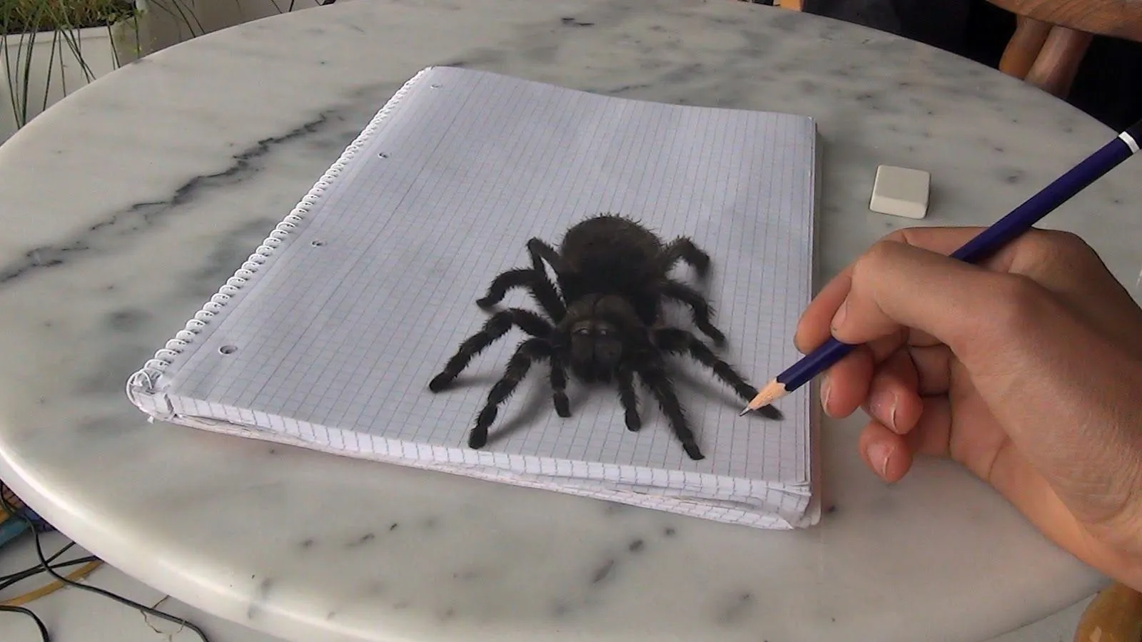 22725 tarantula shading