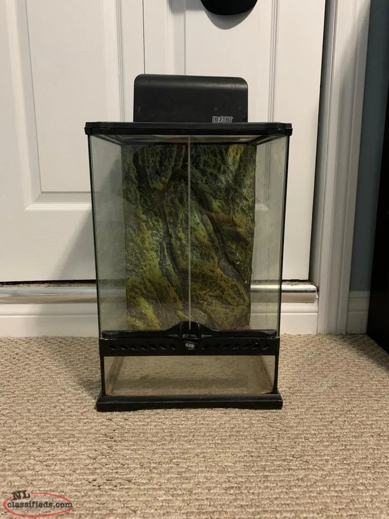 22732 tarantula feeding