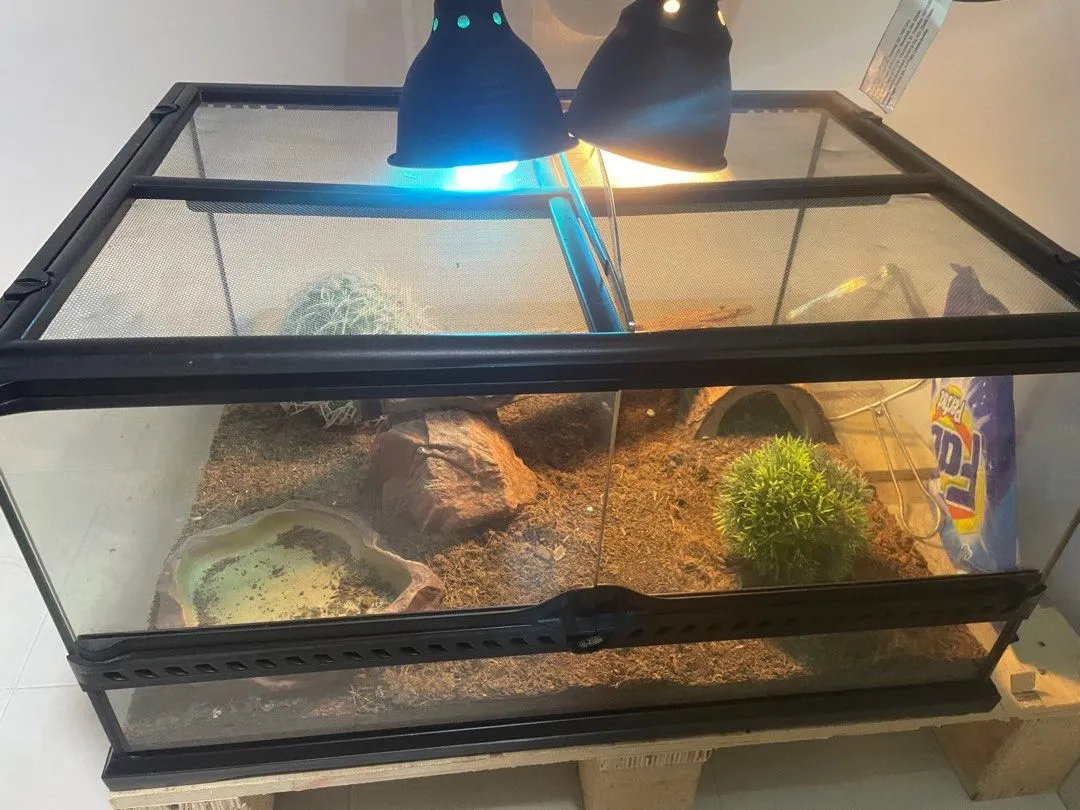 22732 tarantula humidity control