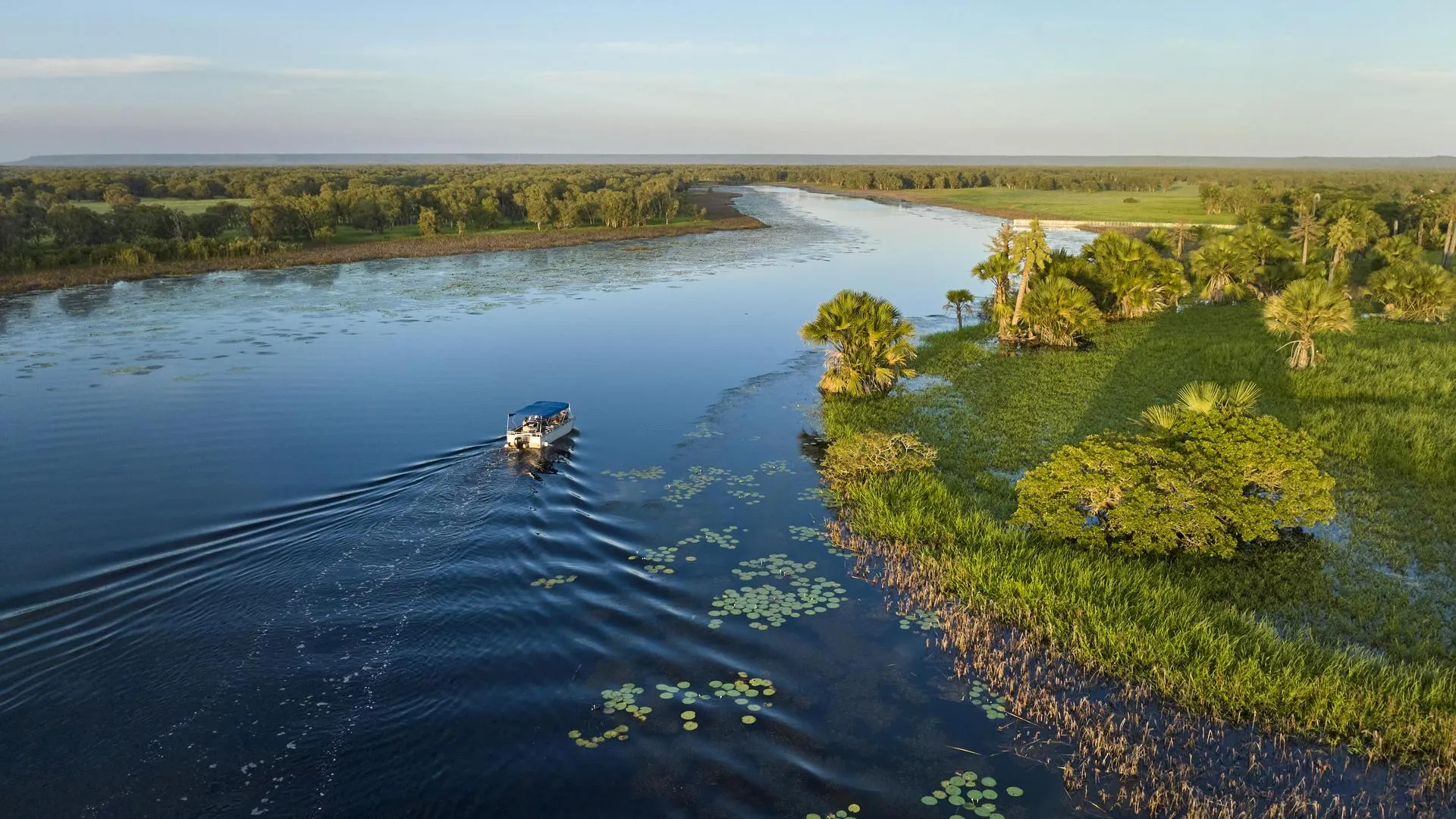 22735 photography tarantula