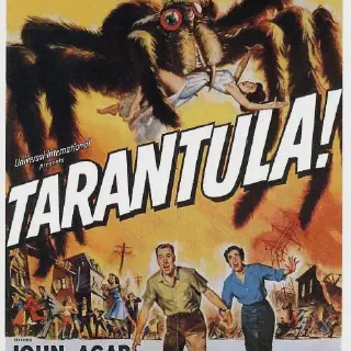 /img/22741-tarantula-tv-show-season-2-buzzy.webp