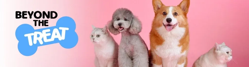 22742 tarantula sling terrarium