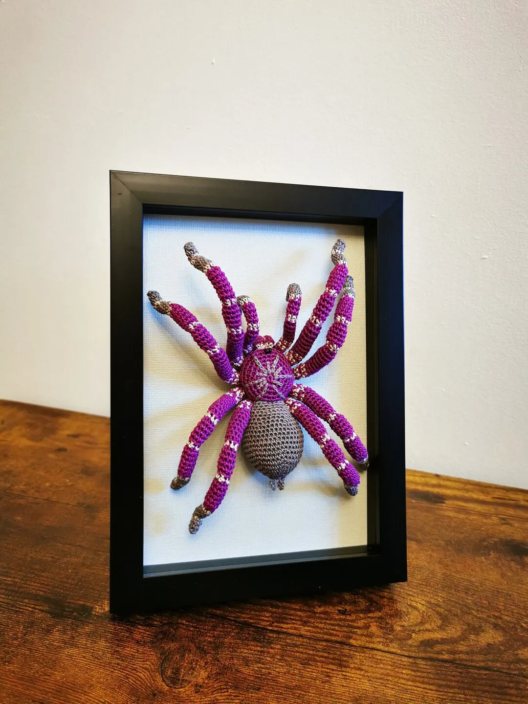 22743 dark frame tarantula enclosure