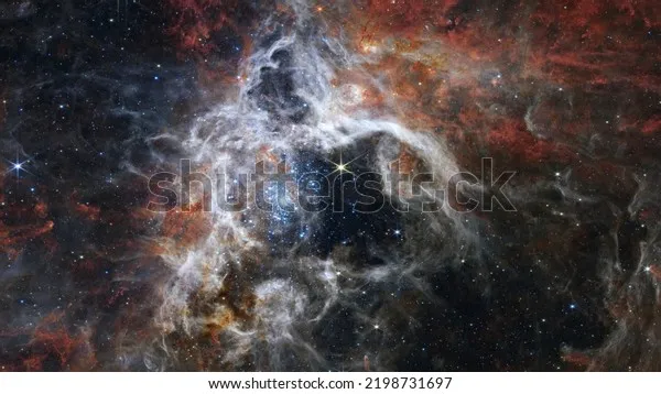 22743 dark frame tarantula feeding