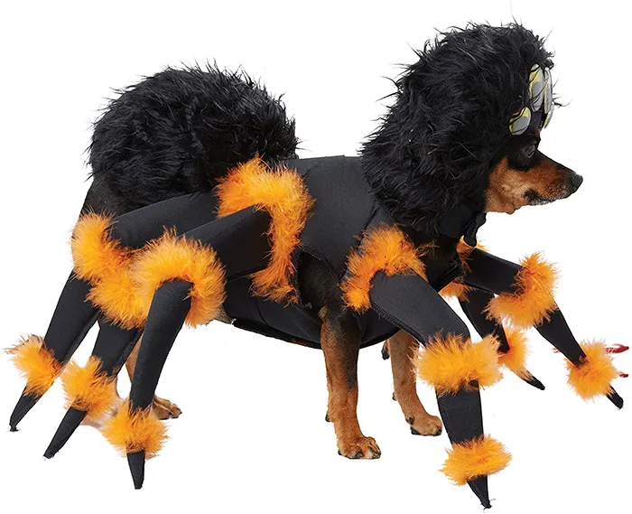22788 diy tarantula dog costume