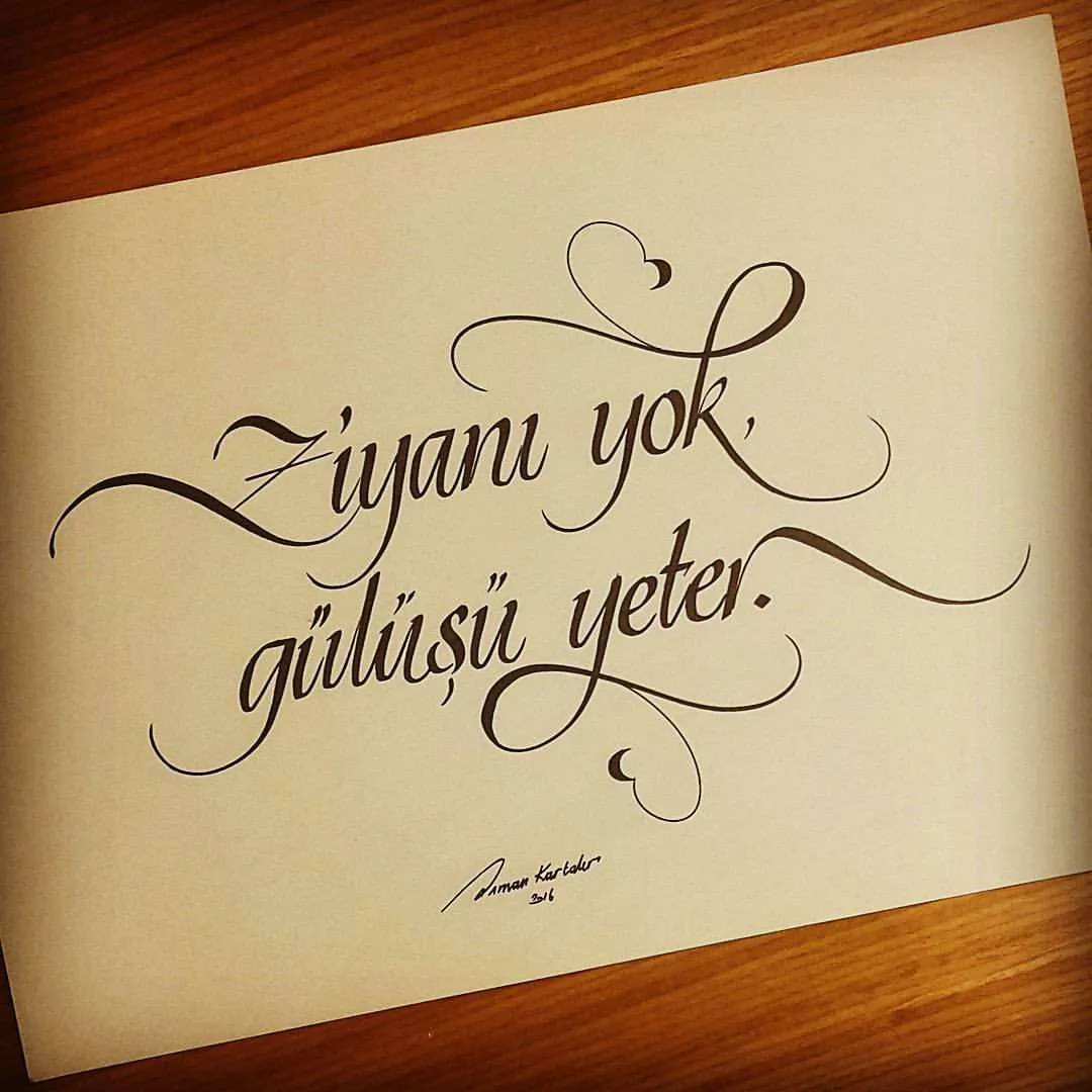 22795 tarantula enclosure