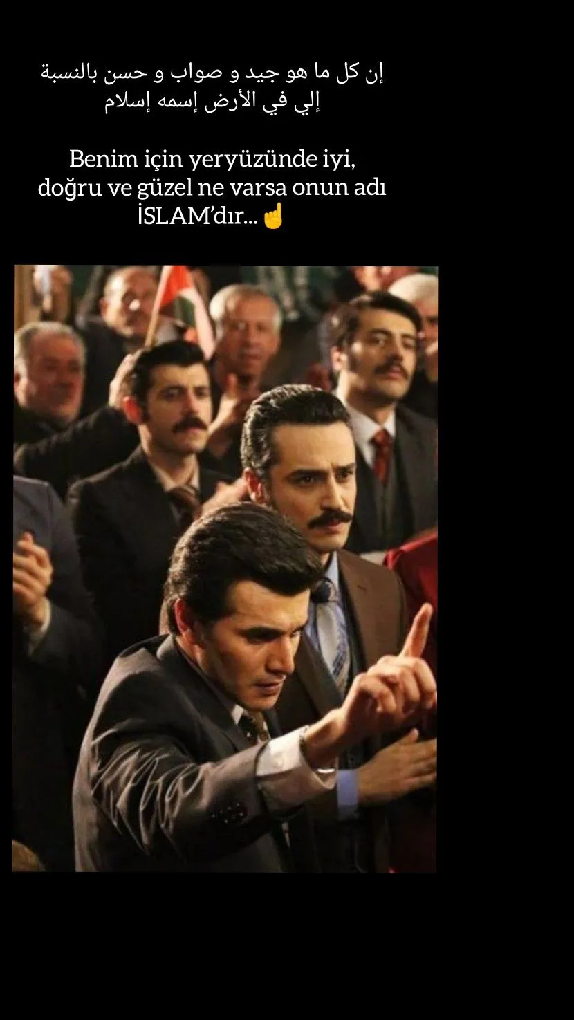 22795 tarantula feeding