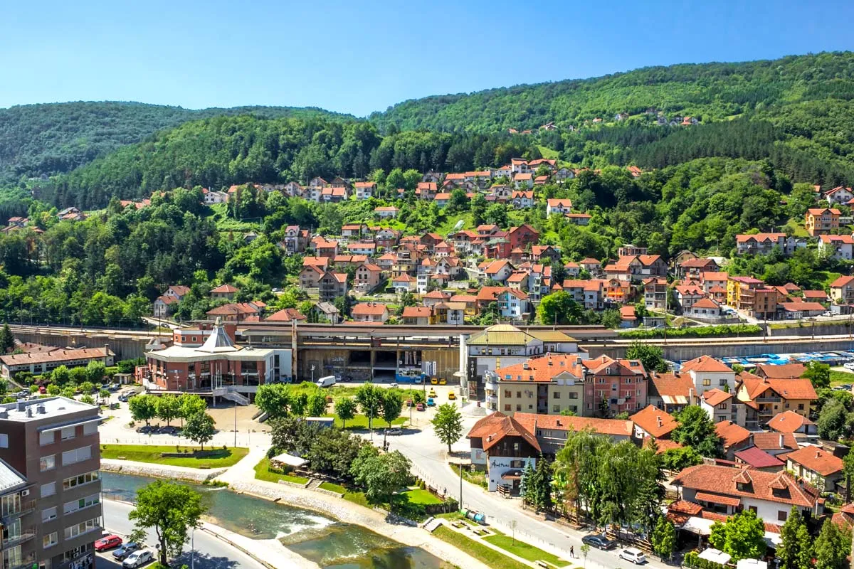 22795 tarantula shedding