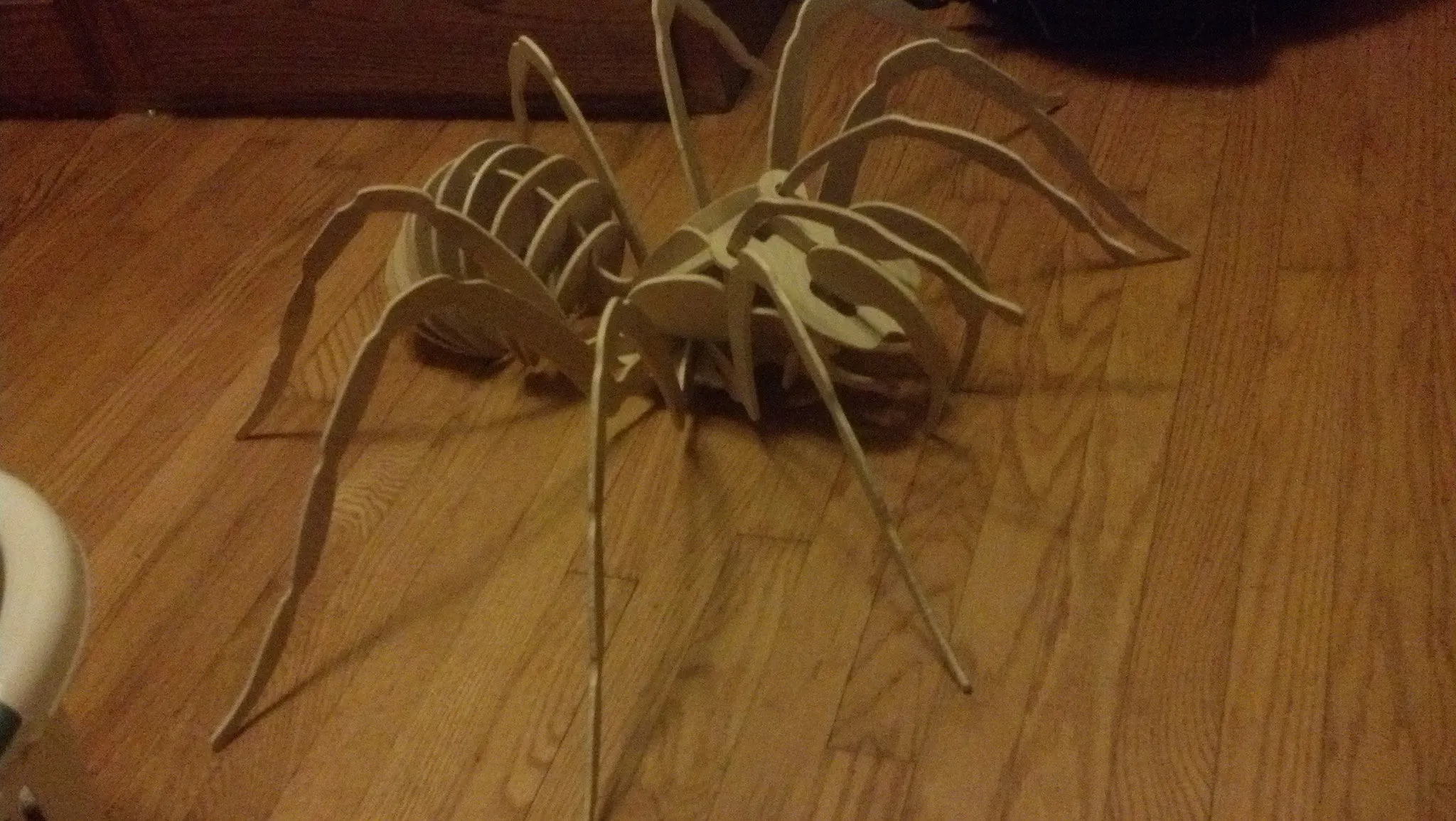 22809 tarantula hide