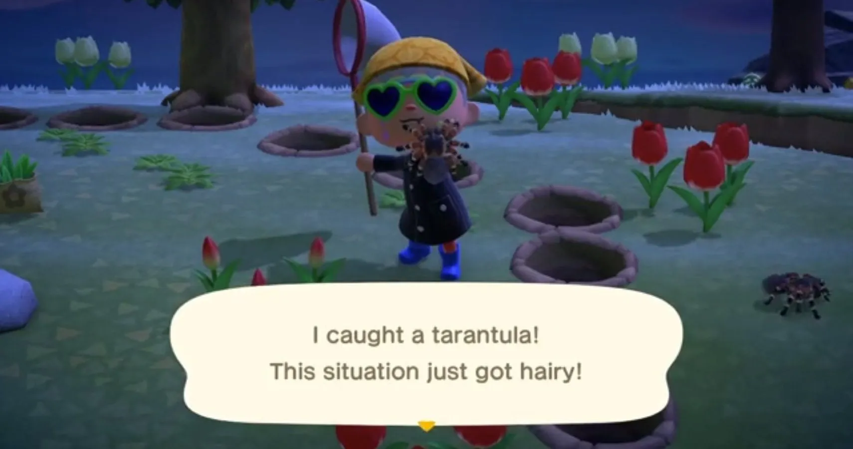 22813 animal crossing tarantula catching