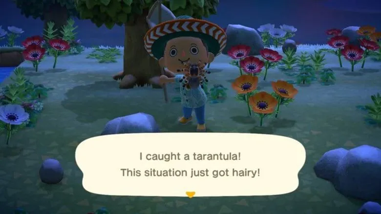 22813 animal crossing tarantula inventory
