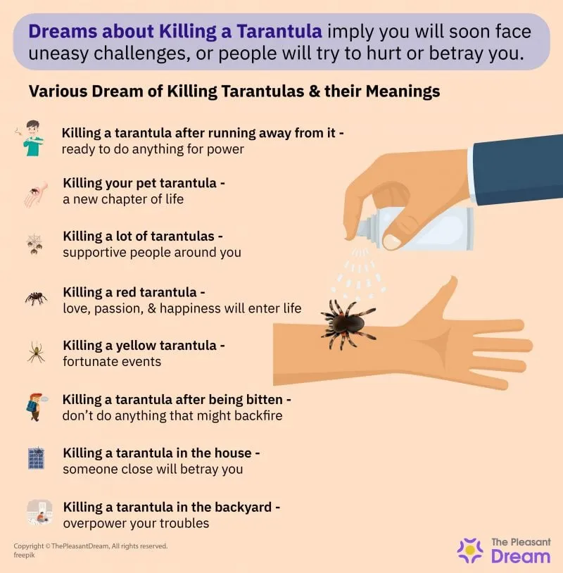22817 tarantula dream image3