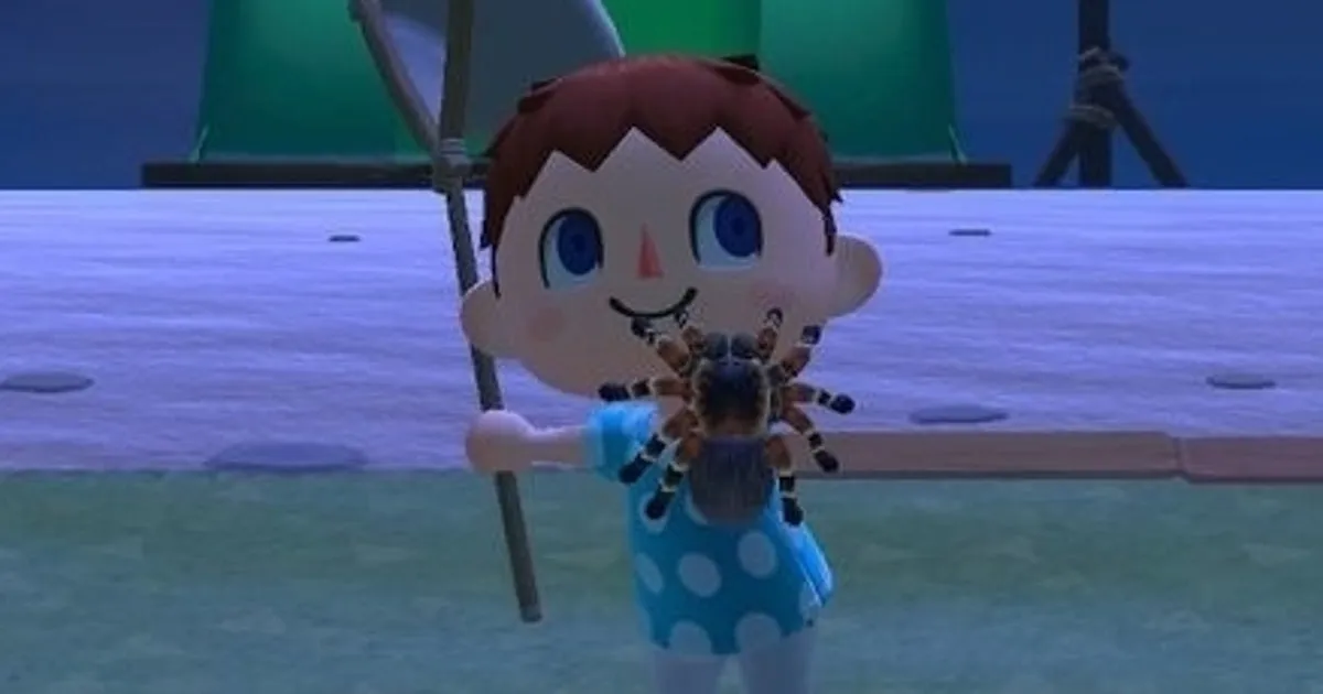 22827 animal crossing tarantula spawn