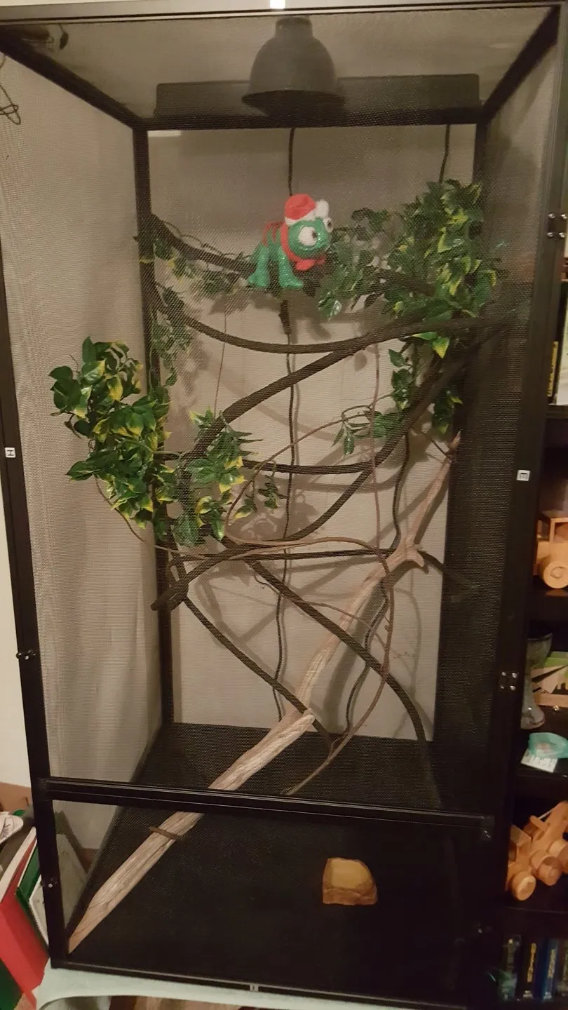 22830 tarantula enclosure essentials