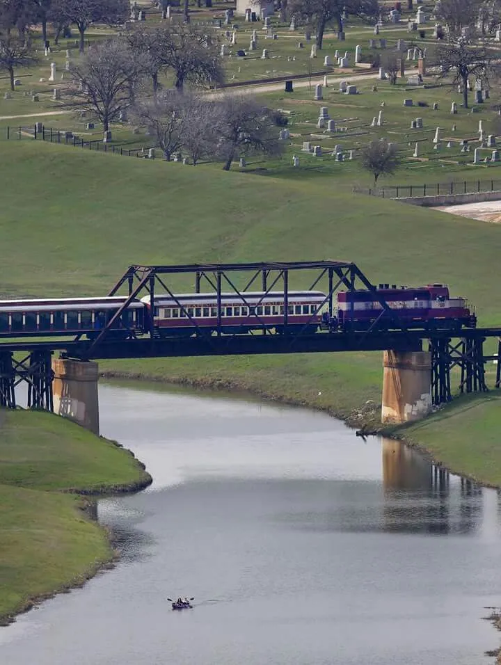 22849 tarantula train wildlife