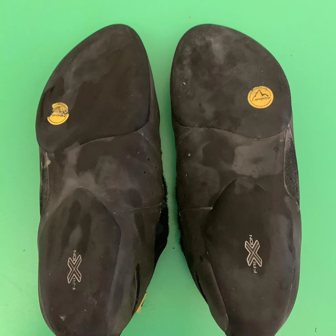 22878 tarantula climbing styles