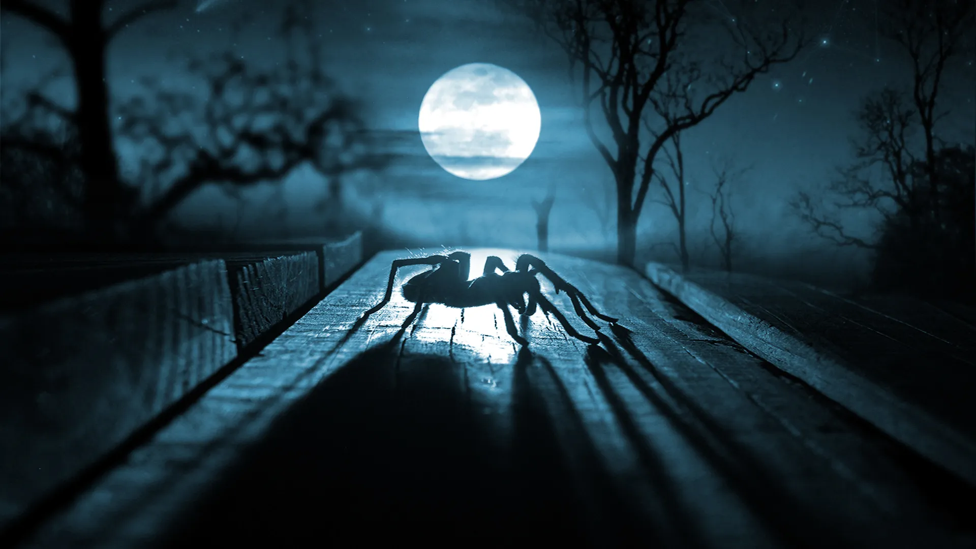 22888 home protection tarantulas