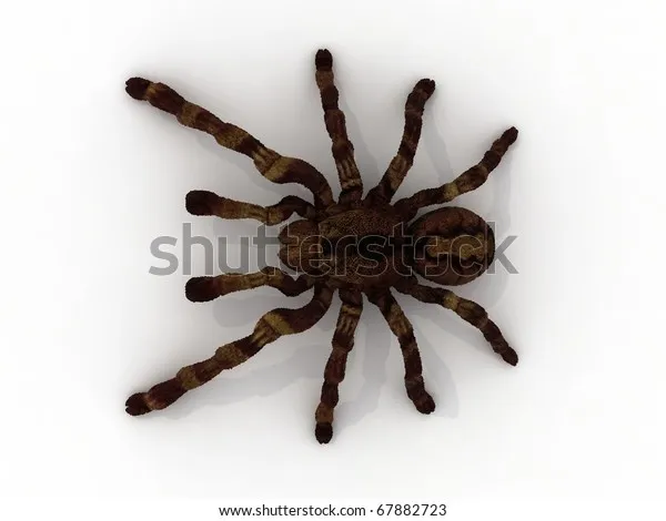 22891 tarantula 3d impressora print quality