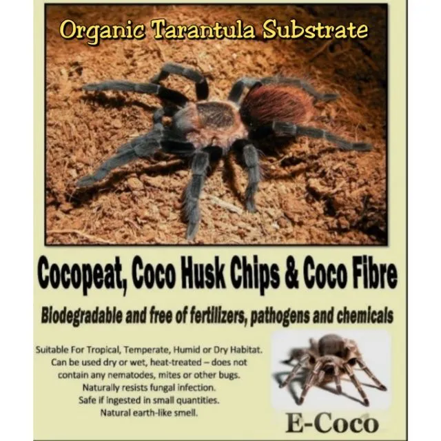 /img/22893-cleaning-tarantula-enclosure.webp