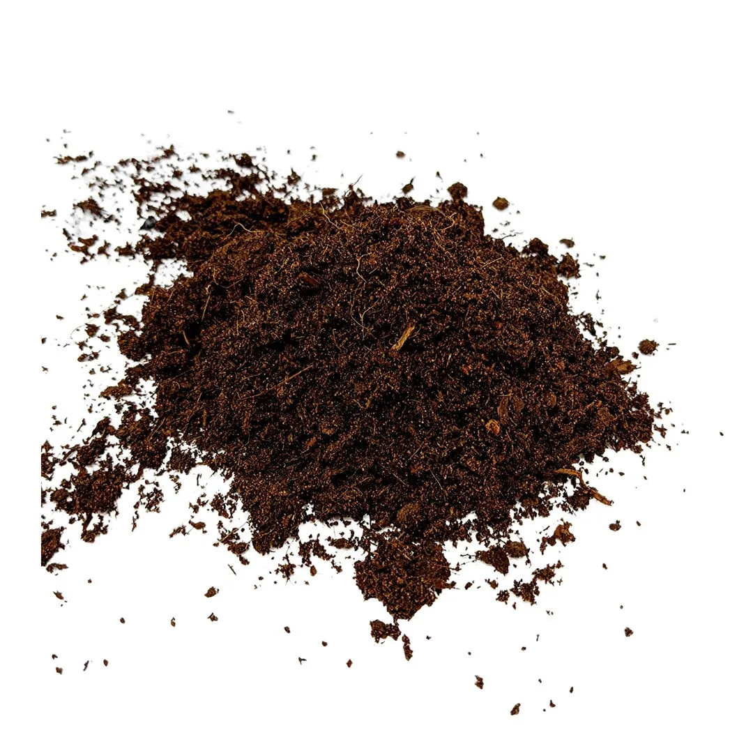 22893 tarantula with fresh substrate