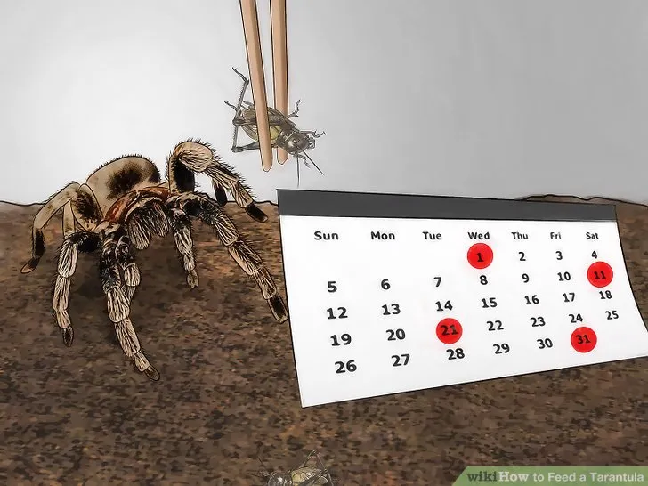 22914 calcium supplement