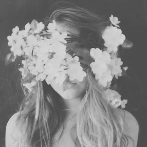 22919 tarantula feeding