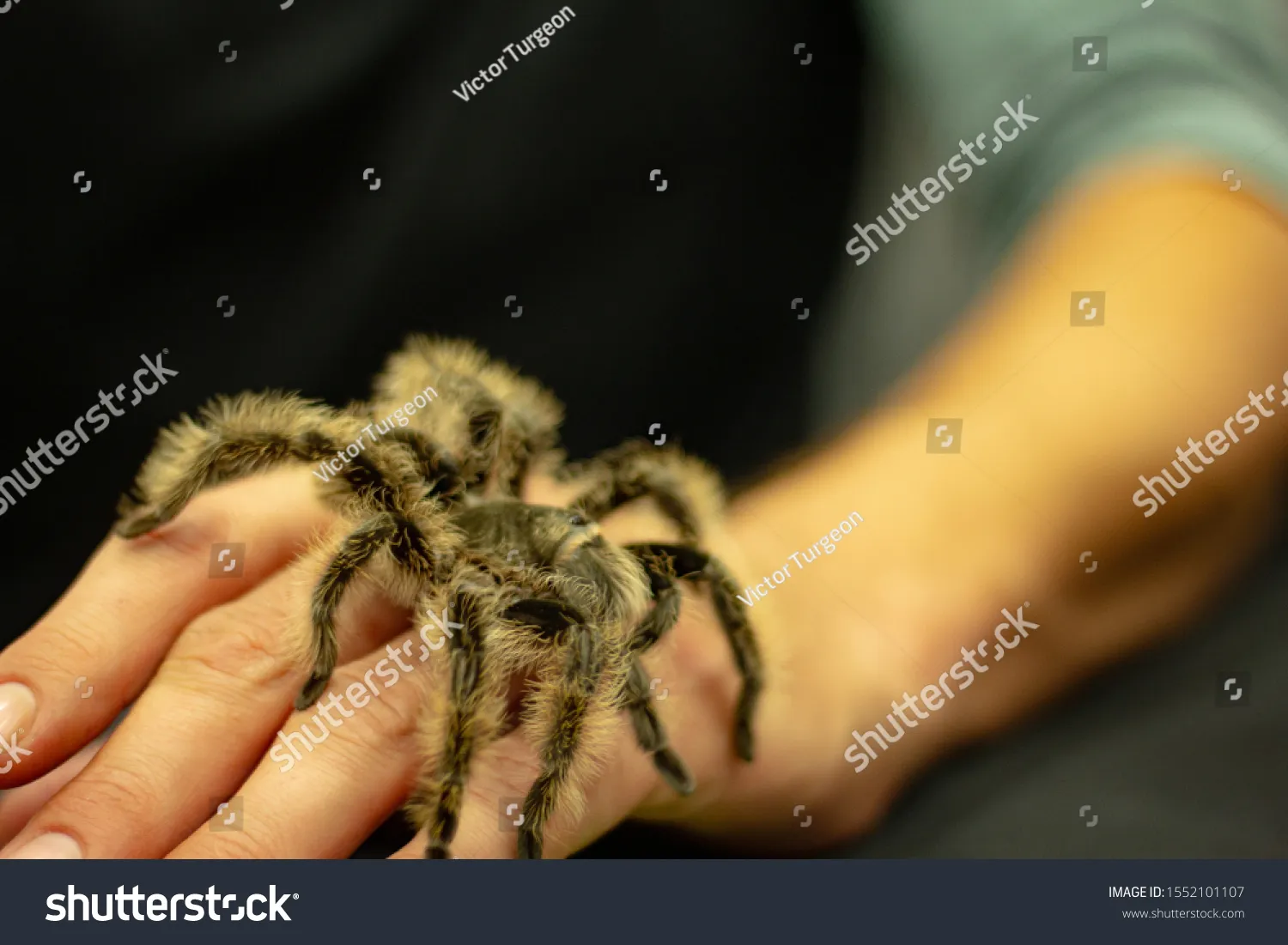 22924 hand bite area washing