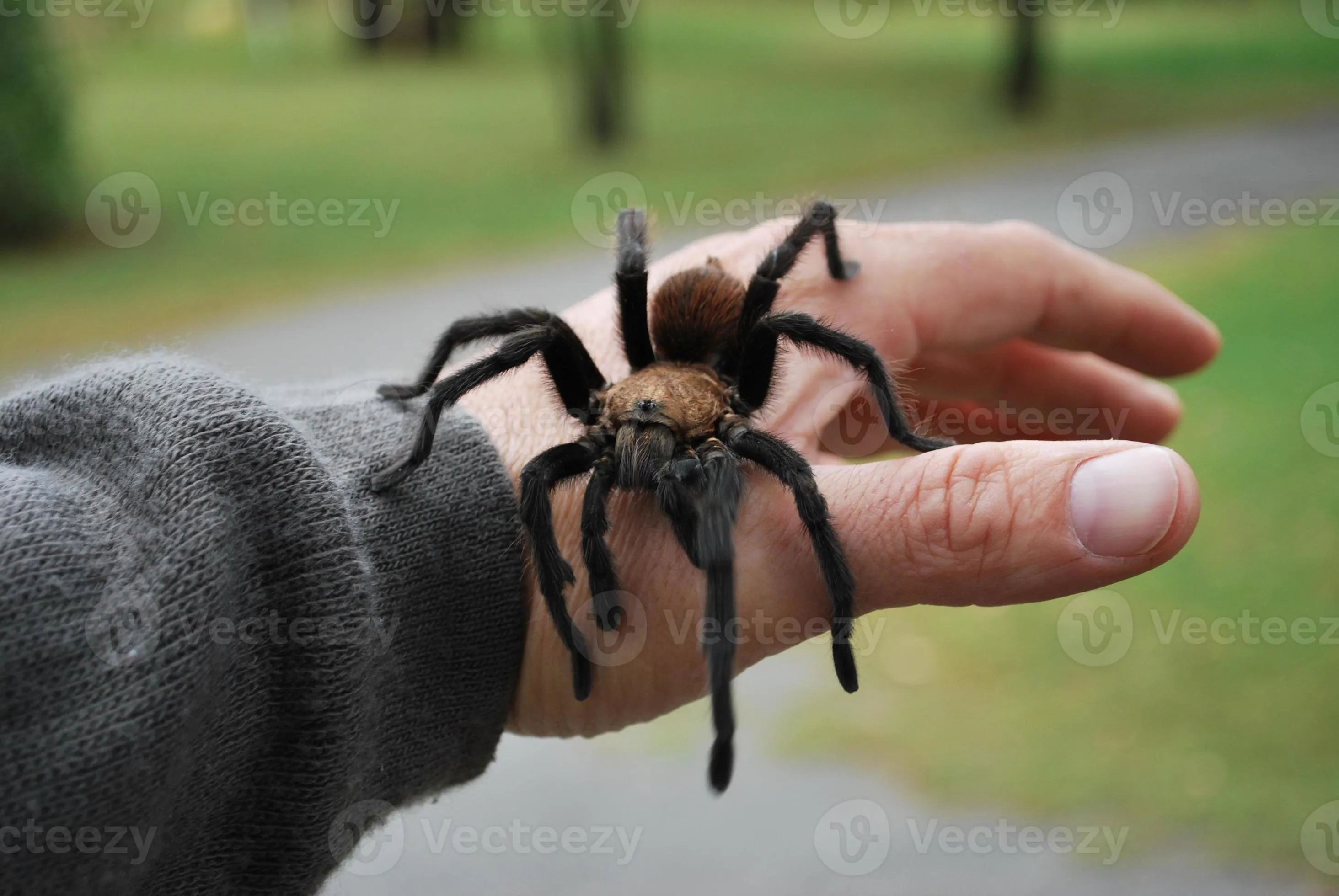 22924 hand bite cold compress