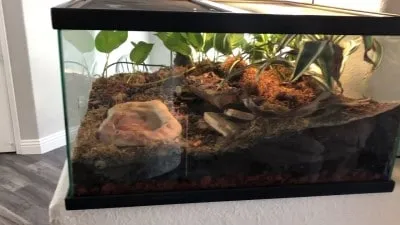 22928 tarantula enclosure substrate
