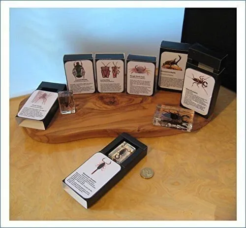 22954 tarantula spider uk handling